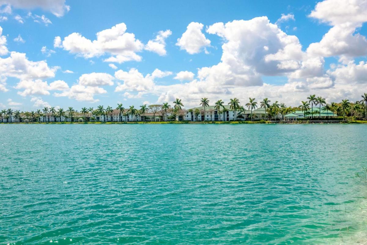 Апартаменты Bright and Modern Apartments at Palm Trace Landings in South Florida
