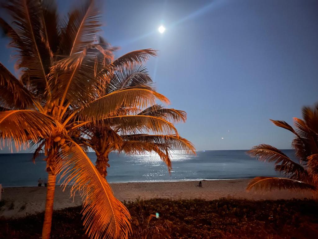 Апартаменты Studio right on the beach at Lauderdale By The Sea