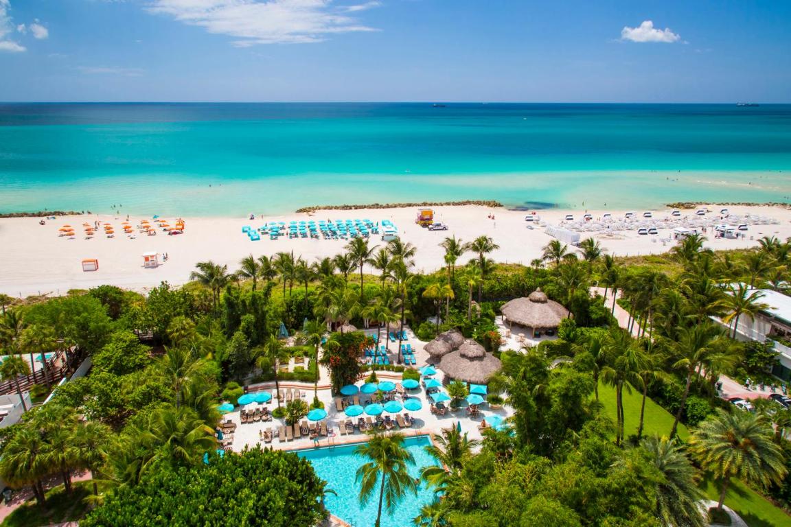 Отель The Palms Hotel & Spa
