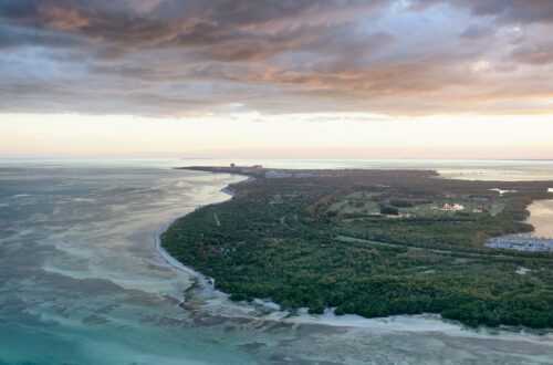 Недвижимость в Ки Бискейн (Key Biscayne)