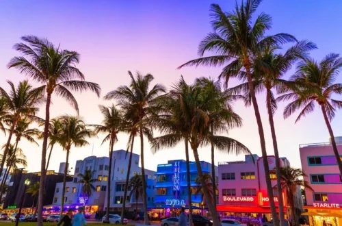 Пальмы и неоновые вывески отелей на Ocean Drive в Майами на закате