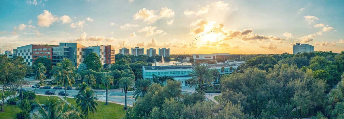 Университет Майами (The University of Miami)