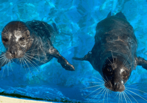 Miami Seaquarium