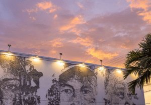 Wynwood Walls